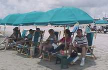 rental umbrellas and chairs on the beach